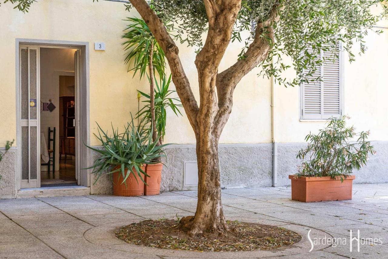 Sardegna Homes Il Glicine Όλμπια Εξωτερικό φωτογραφία
